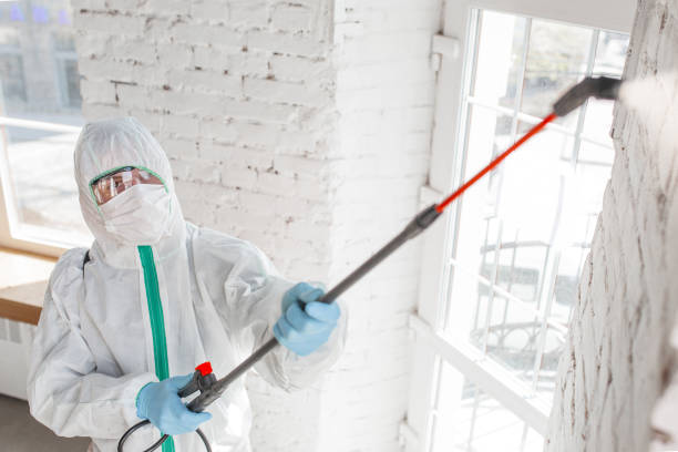 Best Forensic Mold Investigation  in Sauk Vlage, IL